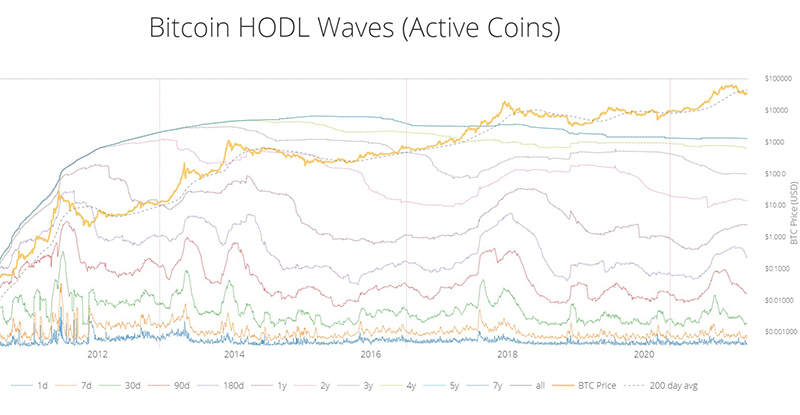 bitcoin hold waves